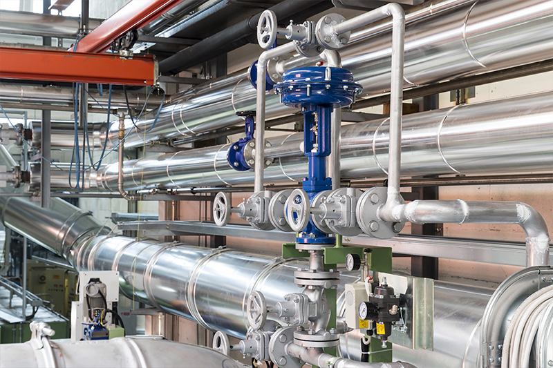 gesamtkeimzahlen legionellen pseudomonas aeruginosa